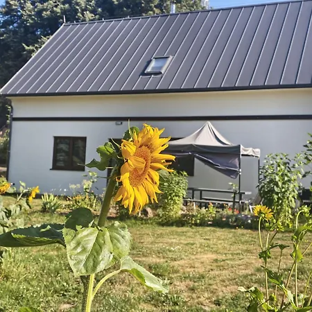 Na Prahu Lesa - Rodinna V Krusnych Horach * Sindelova