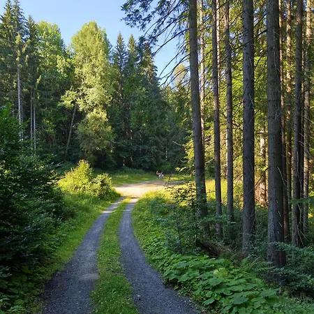 Holiday home Na Prahu Lesa - Rodinna V Krusnych Horach