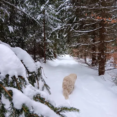 Holiday home Na Prahu Lesa - Rodinna V Krusnych Horach