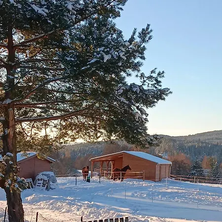 Na Prahu Lesa - Rodinna V Krusnych Horach Holiday home *